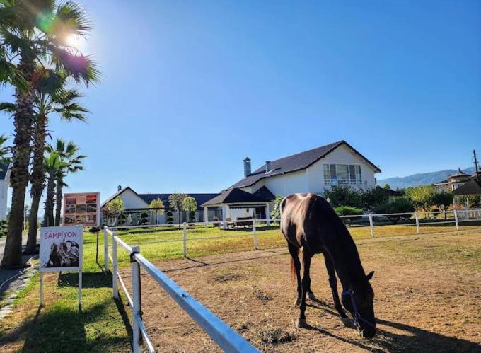 Serbesler Botanik, No 1 Comfortable Villa Sakarya  Esterno foto