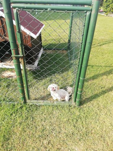 Serbesler Botanik, No 1 Comfortable Villa Sakarya  Esterno foto